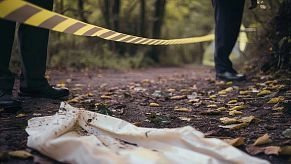 В лесу под Истрой обнаружили останки пропавшей год назад женщины