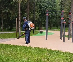 С пешеходных дорожек в Истринском округе продолжают  сдувать пыль