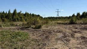 Свалка в Вельяминово ликвидирована