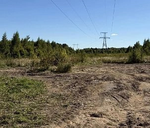 Свалка в Вельяминово ликвидирована