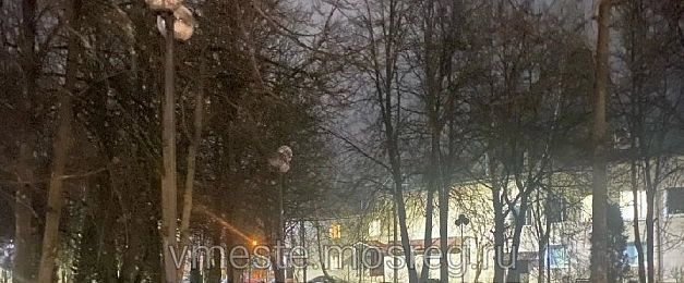 Жителям Агрогородка придётся ходить в потёмках через парк до будущей зимы