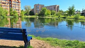 Истринцам дали 9 дней на участие в голосовании за благоустройство