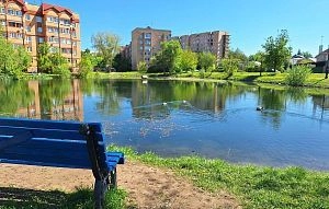 Истринцам дали 9 дней на участие в голосовании за благоустройство