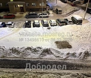 Снегоуборщики безвозвратно уничтожили сирень, высаженную в ходе благоустройства в Истре