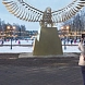 Сезонный ледяной каток установят в Истре в лесопарке «Соколиная гора» 