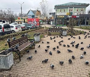 Сквер на Воскресенской: красота в отчётах — разруха в реальности