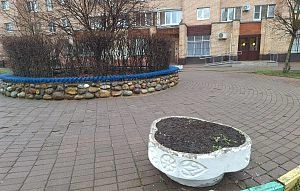 Татьяна Витушева: «Сквер у Истринского ЗАГСа оставляет желать лучшего» 