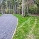 Истринцы продолжают отстаивать лесопарк Лечищево как природный