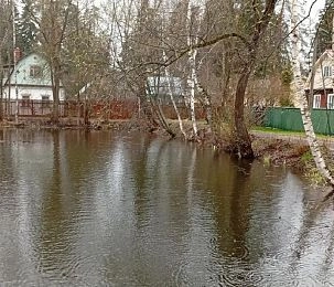 Пруд в Снегирях стал чище