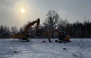 Комитет Госдумы выступил против вырубки леса под дорожки и беседки