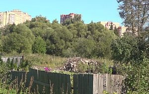Что построят в Истре на месте снесённой Воротничковой фабрики?