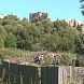Что построят в Истре на месте снесённой воротничковой фабрики?