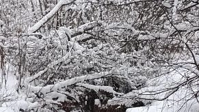 Уровень рек в округе собираются мониторить круглосуточно