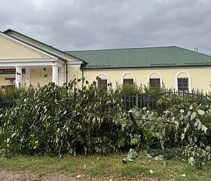 Варварскую вырубку деревьев в Снегирях объяснили расчисткой ЛЭП