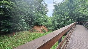 В городском парке Истры обрушаются склоны оврага 