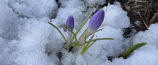 В Подмосковье ожидается арктическое вторжение