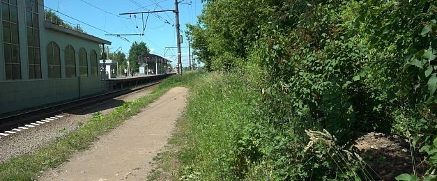 Архивные кадры: что осталось от озеленения станции Истра спустя десятилетие