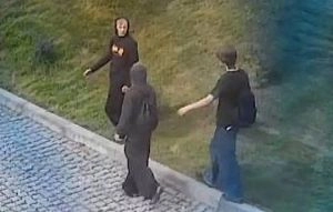 Вандализм в центре Истры