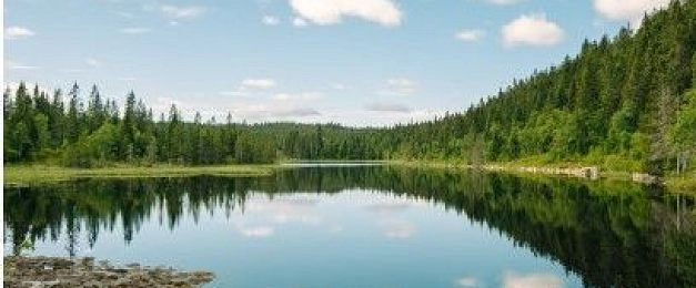 Суд признал незаконной частную собственность на озеро, входящее в бассейн реки Ликовки