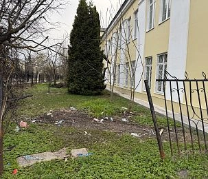 Территория бывшего  филиала РГСУ в Дедовске превратилась в помойку