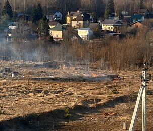 Истринцы заметили травяной пал