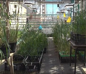 В Рождествено отметят День Российской науки