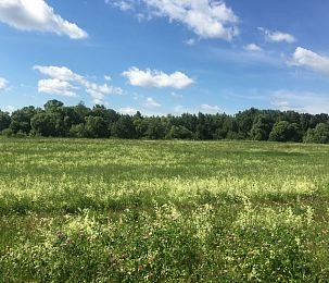 В Подмосковье упростили объединение участков с разными видами разрешённого использования