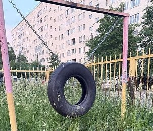 Собачья площадка в Дедовске осталась без благоустройства