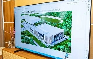 Татьяна Витушева рассказала, каким будет ледовый дворец в Истре