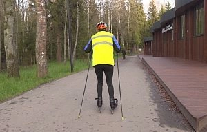 Лыжероллеры пострадали во время тренировки в лесопарке Истры