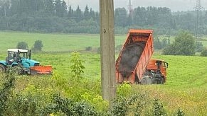 «Такая жуткая вонь, что из дома не выйти!»