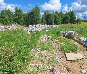 Свалку в Вельяминиово не убрали: чиновники Истры проигнорировали предостережение Минэкологии