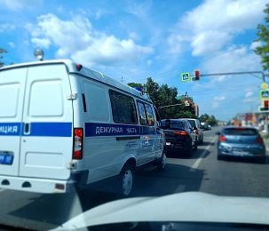 Криминальная статистика Подмосковья