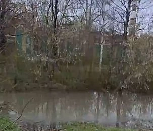 Вблизи набережной реки Песочной обнаружили разлив канализации