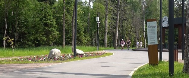 Как «Парк года» на Соколке едва не стал причиной трагедии: история травмированных лыжероллеристов