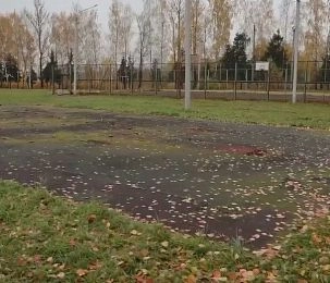 Татьяна Витушева рассмотрела планы для Бужарово