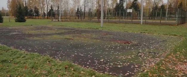 Татьяна Витушева рассмотрела планы для Бужарово