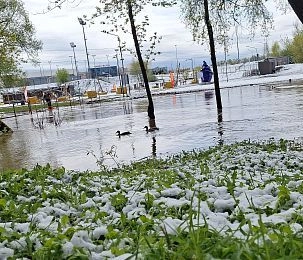 Парк на реке Песочной неожиданно лишился статуса парковой территории