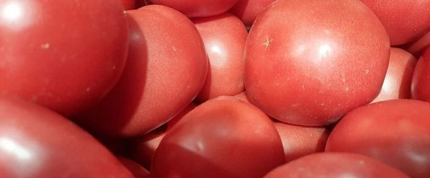  Овощи в торговых сетях напомнят о правилах дорожного движения