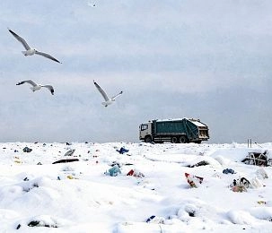 Минприроды требует контракты на ликвидацию полигона «Павловское»