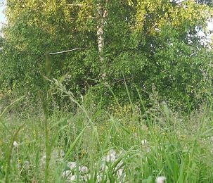 Жительница Истры подарила стихи землякам