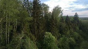 Природно-рекреационную зону в Воронино переводят под гостиничное обслуживание