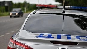 На Волоколамском шоссе сбита косуля