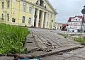 Испанские слизни добрались до центра Дедовска