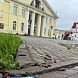 Испанские слизни добрались до центра Дедовска