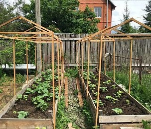 В Истре начался садово-огородный сезон 