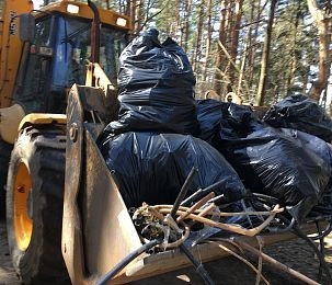 День труда в Истре отметят субботниками и акцией по сбору средств