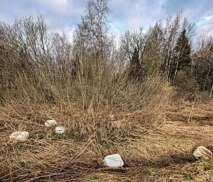Неизвестные выкинули химические отходы у леса вблизи Мансуровского карьера