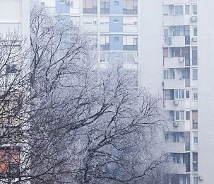 В выходные погода в Московском регионе будет аномально тёплой