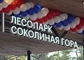Лесопарк «Соколиная гора» открыли официально